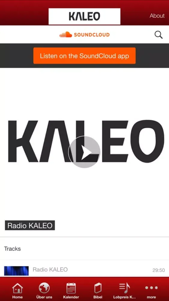 تصاویر KALEO
