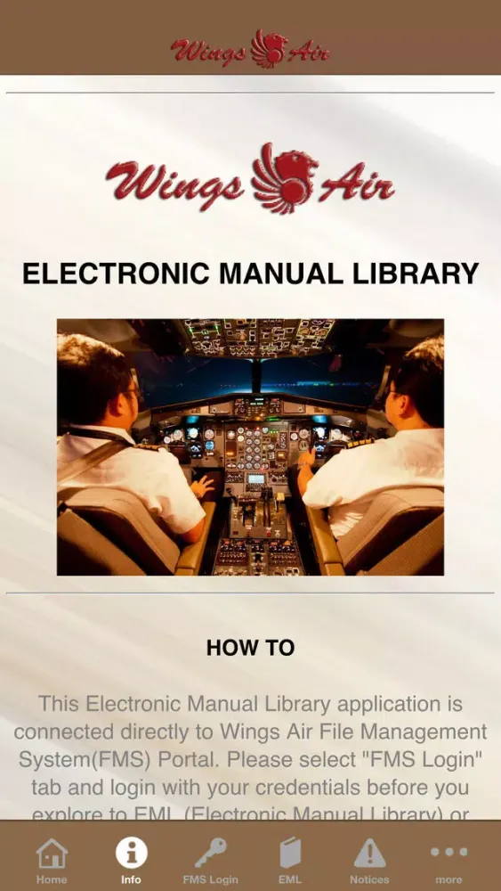 Скриншоты Wings Air EML
