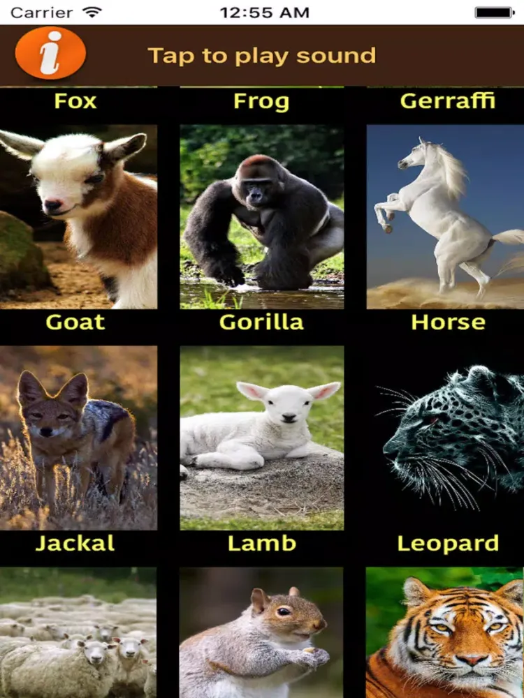 Real animal sounds iPad  Screenshots