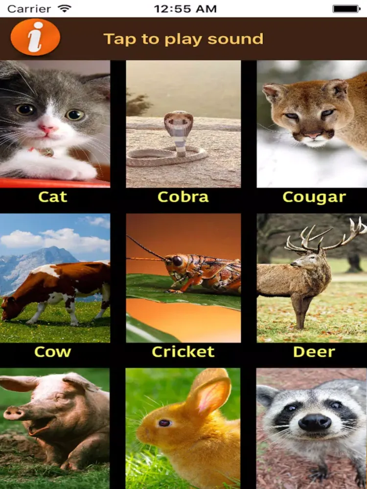 Real animal sounds iPad  Screenshots
