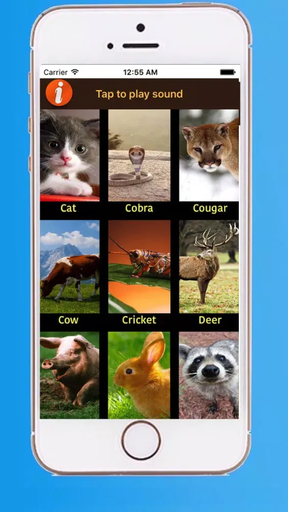 Real animal sounds Screenshots