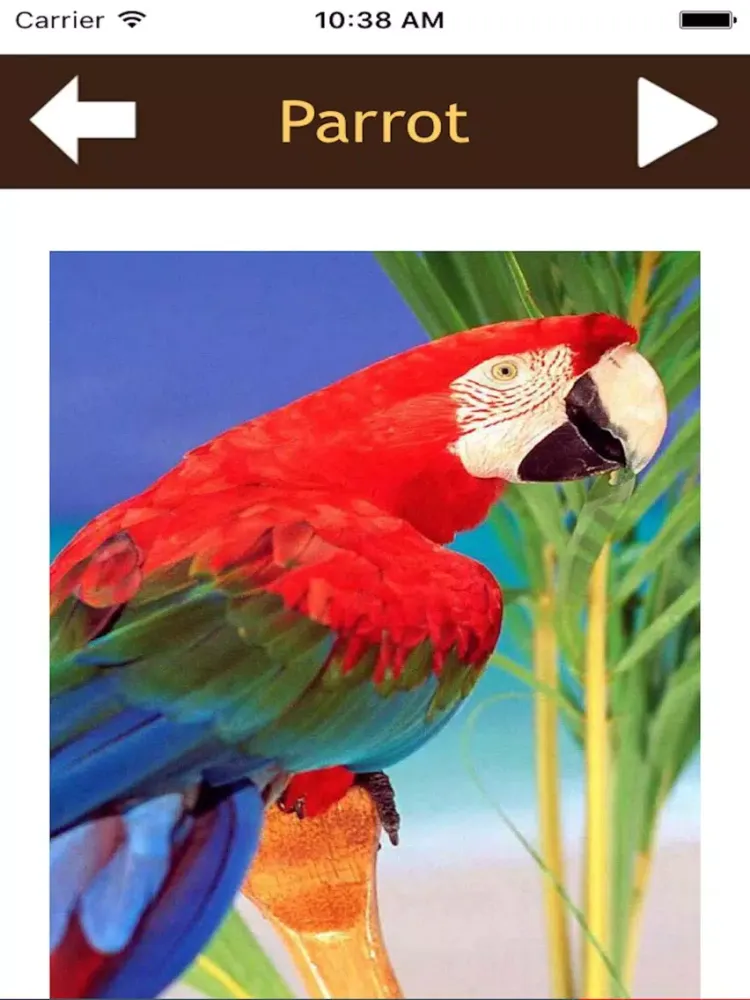 ภาพหน้าจอของ Beautiful Birds Sounds iPad 