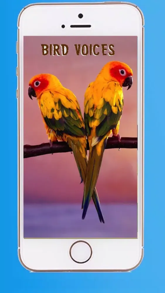 ภาพหน้าจอของ Beautiful Birds Sounds