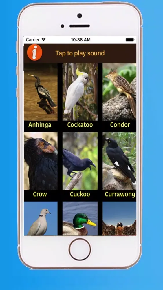 ภาพหน้าจอของ Beautiful Birds Sounds