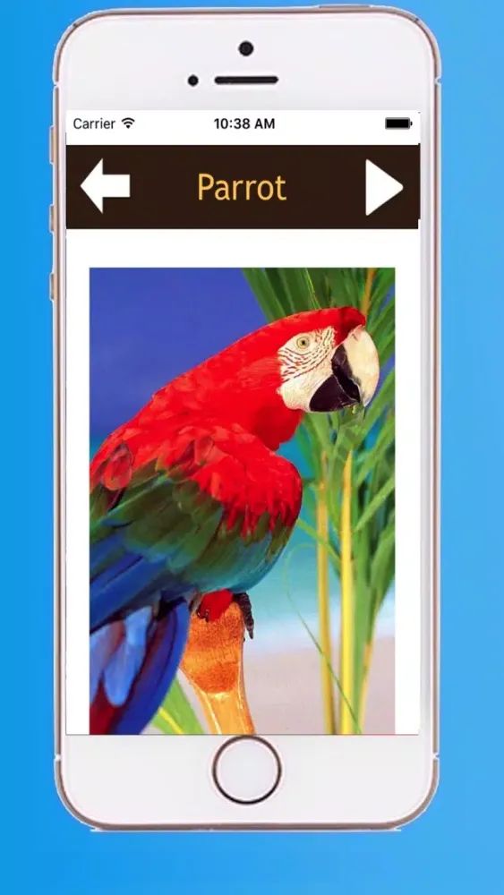 ภาพหน้าจอของ Beautiful Birds Sounds