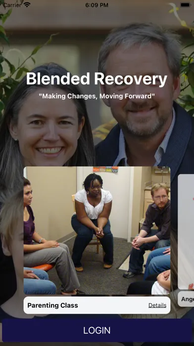 Скриншоты Blended Recovery