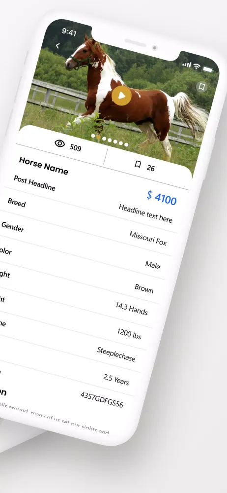 تصاویر Moore Equine