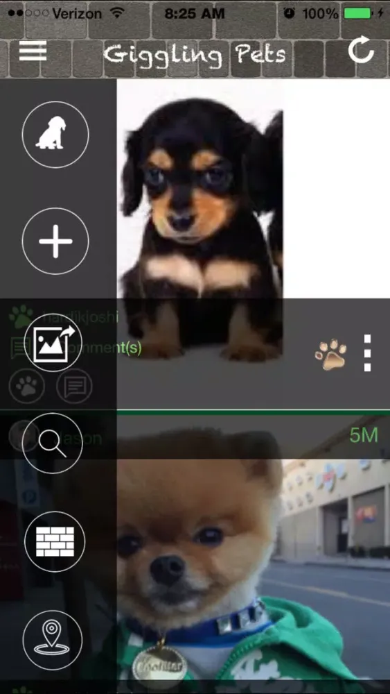 Giggling Paws & Pets应用截图