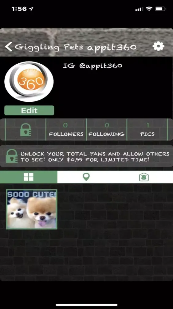 Giggling Paws & Pets应用截图
