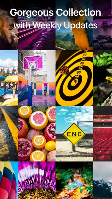 Live Wallpapers HD for iPhone Ekran Görüntüleri