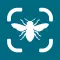 Insect Bug Identifier