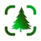 Plant Finder Tree ID Treelogy