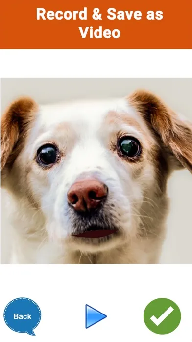 Captures d'écran de My Talking Pet Photos P2Talk