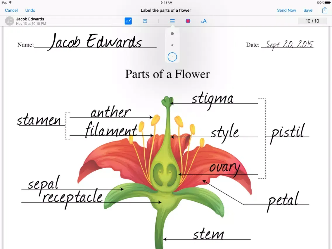 iTunes U iPad  سکرین شاٹس