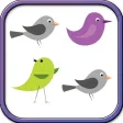 Fun Learning Birds Shapes Stencil for Toddlers Fun Learning Birds Shapes Stencil for Toddlers