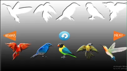 Fun Learning Birds Shapes Stencil for Toddlers Screenshots