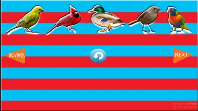 Fun Learning Birds Shapes Stencil for Toddlers Screenshots