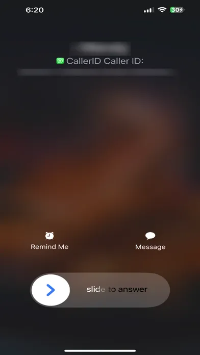 CallerID应用截图