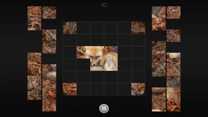 Photo Puzzle Snap应用截图