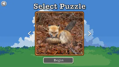 Photo Puzzle Snap应用截图