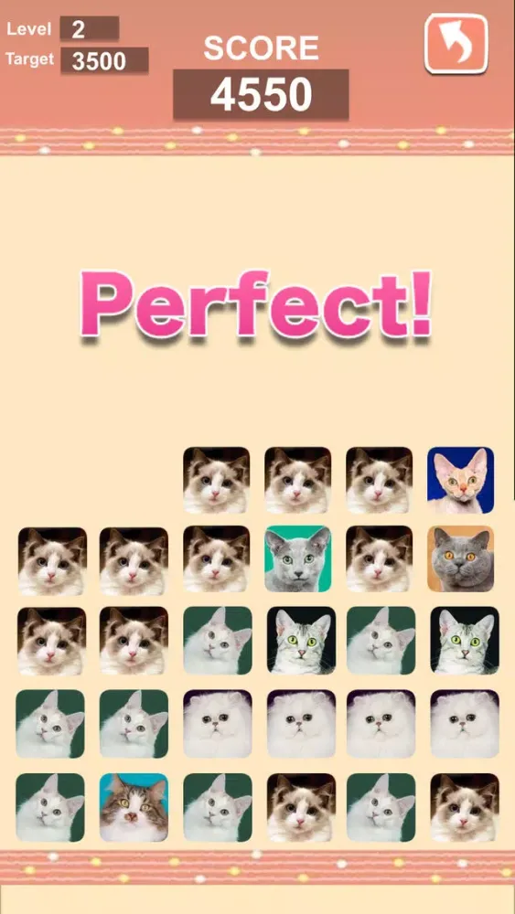 Lovely Cats! – Match Game应用截图