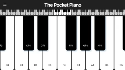 The Pocket Piano স্ক্রিনশট