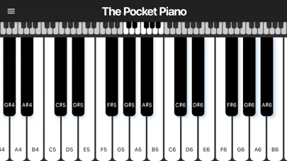The Pocket Piano স্ক্রিনশট