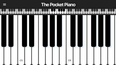 The Pocket Piano স্ক্রিনশট