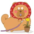 Chowchow dog Sticker Chowchow dog Sticker