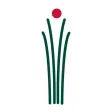 AFN Life Insurance Quotes