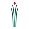 AFN Life Insurance Quotes
