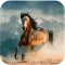 Horse Wallpapers