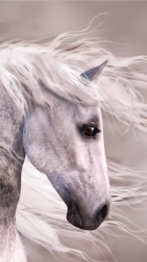 Screenshot di Horse Wallpapers