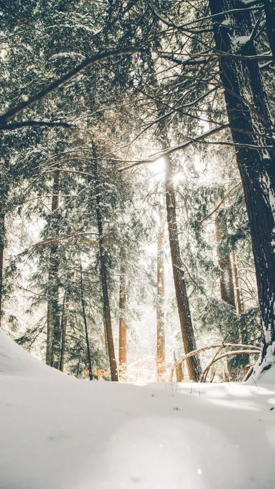 Winter Wallpapers Screenshots
