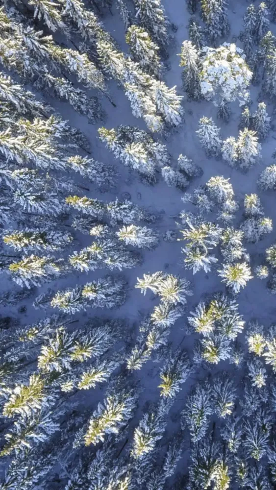 Winter Wallpapers Screenshots
