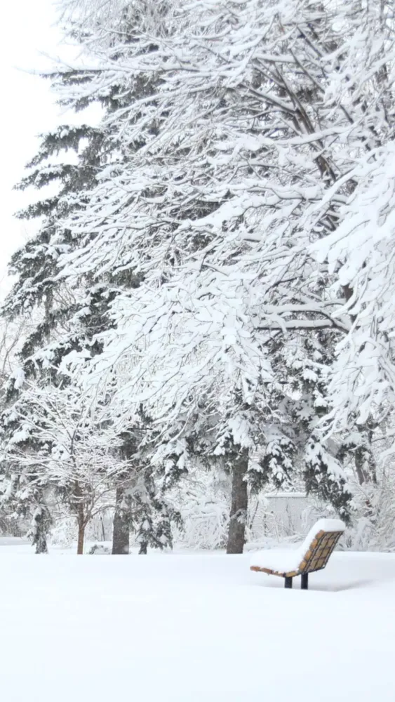 Winter Wallpapers Screenshots