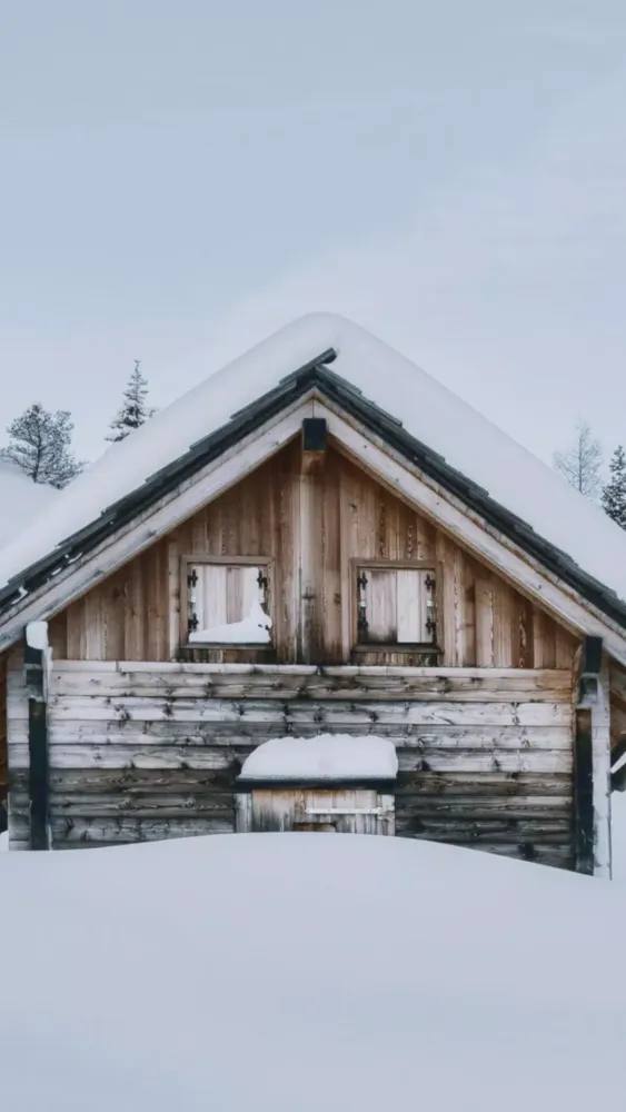 Winter Wallpapers Screenshots