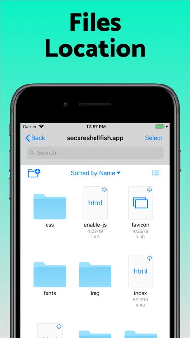 SSH Files – Secure ShellFish Screenshots