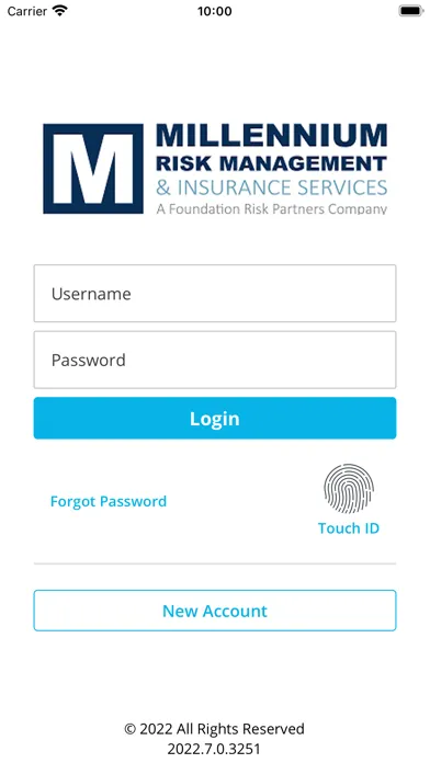 Millennium Risk Management Screenshots