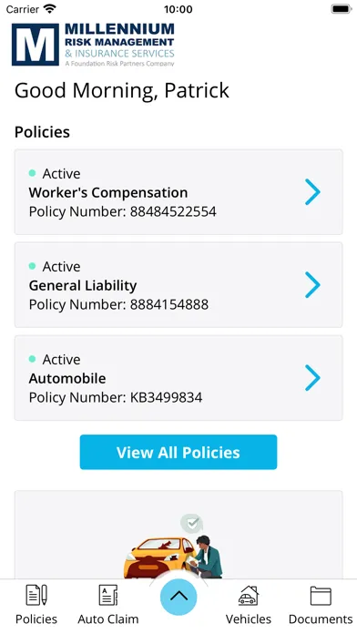 Millennium Risk Management Screenshots