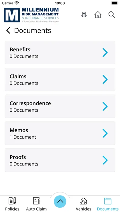 Millennium Risk Management Screenshots