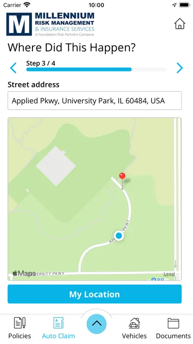Millennium Risk Management Screenshots