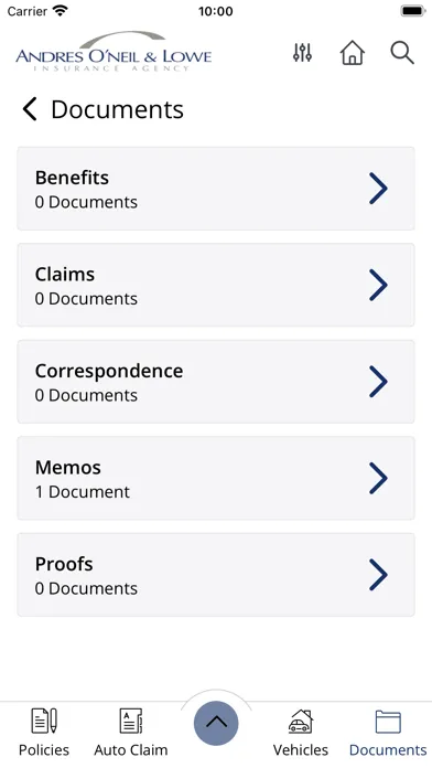 Andres O'Neil & Lowe Online Screenshots