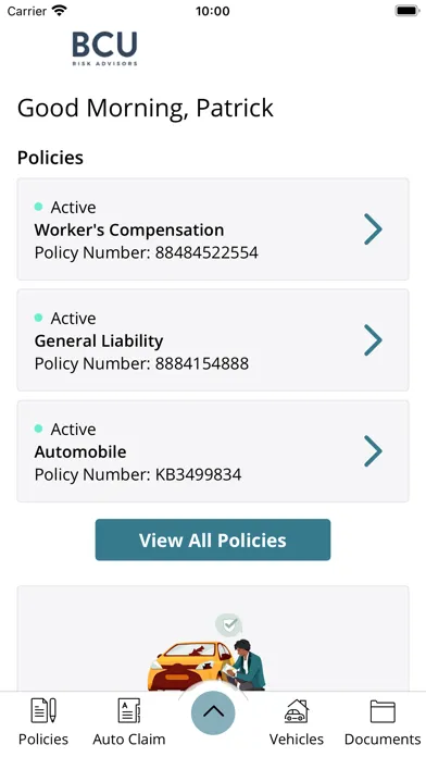 BCU Risk Advisors LLC Online应用截图