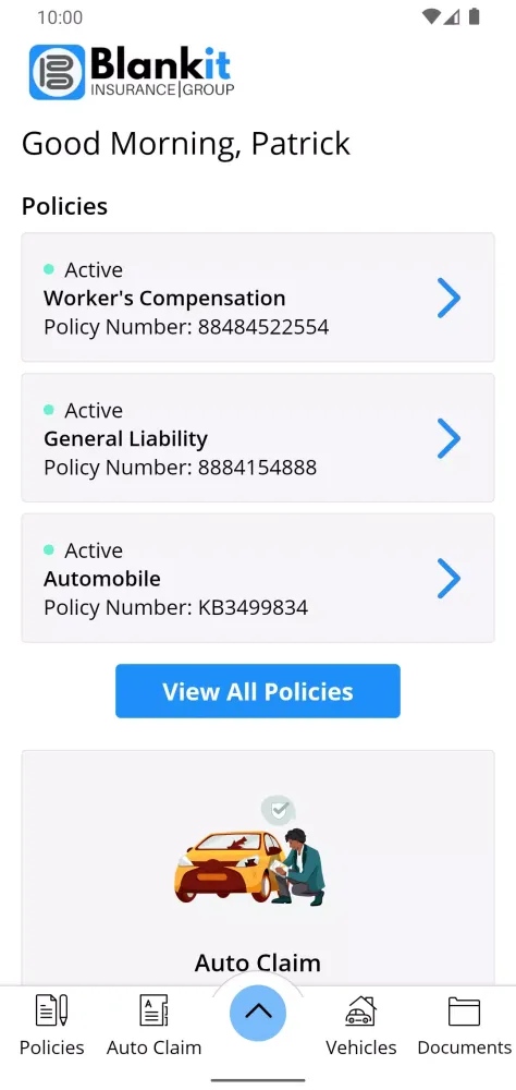 Blankit Insurance Group Screenshots