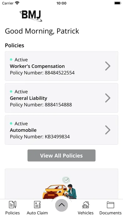 Brown-McNerney-Johnson Online Screenshots