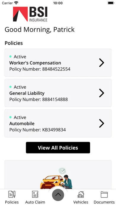 Tangkapan skrin BSI Insurance Brokers Online