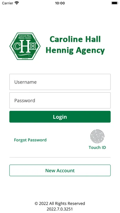 Caroline Hall Hennig Agency Screenshots