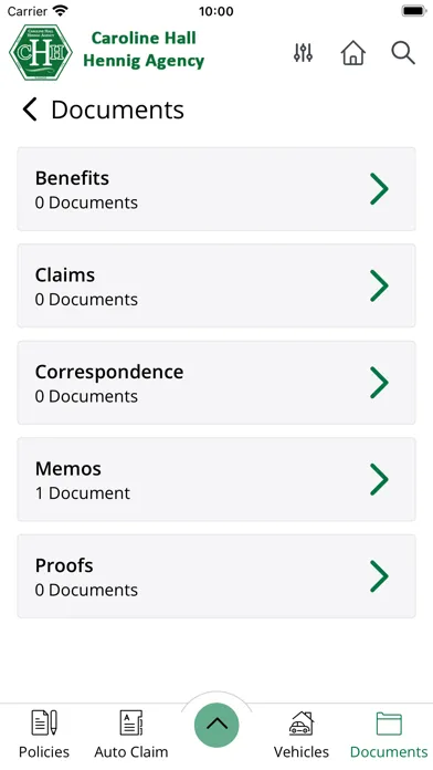 Caroline Hall Hennig Agency Screenshots