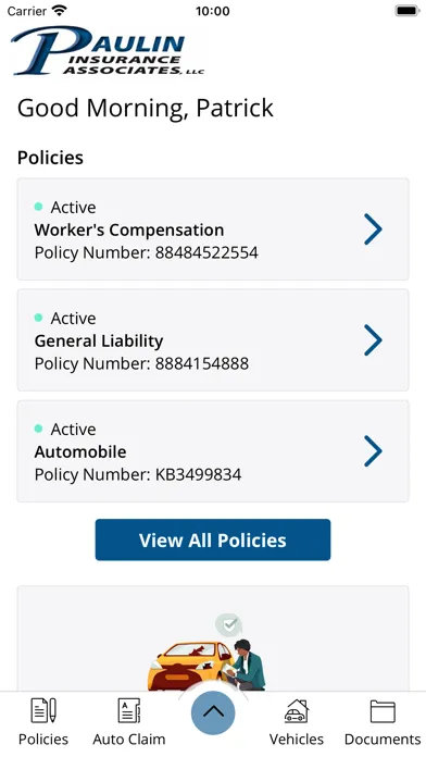 Paulin Insurance Assoc. Online Screenshots